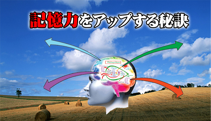 記憶力をアップする秘訣（再販権付き）
