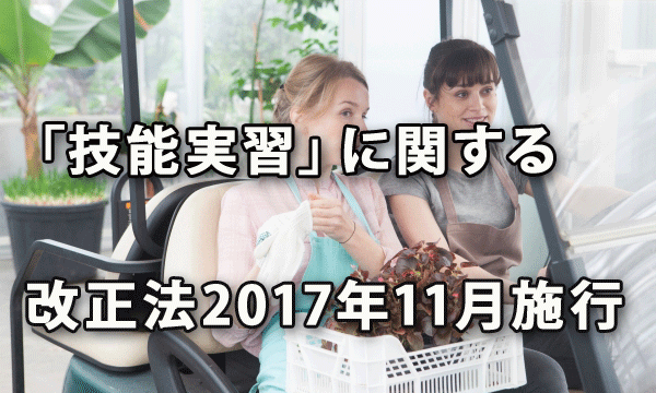 「技能実習」に関する改正法が11月施行　～介護職種を追加するとともに監督を強化