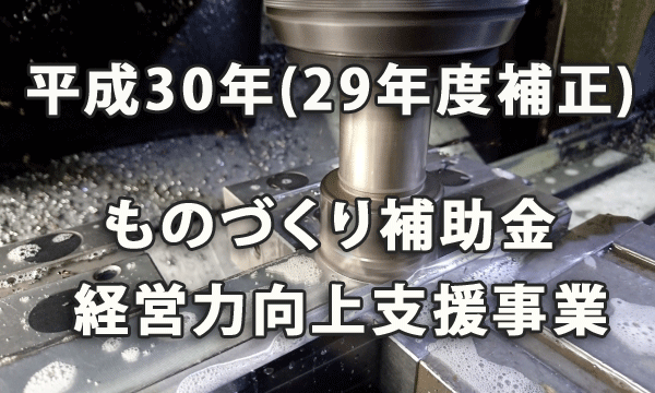 平成30年(29年度補正) ものづくり補助金（経営力向上支援事業）