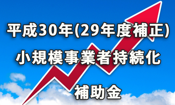 平成30年(29年度補正) 小規模事業者持続化補助金