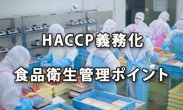 HACCP義務化と知っておきたい食品衛生管理のポイント