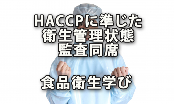 HACCPに準じた衛生管理状態監査視察の同席と食品衛生の学び