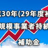 平成30年（29年度補正）小規模事業者持続化補助金