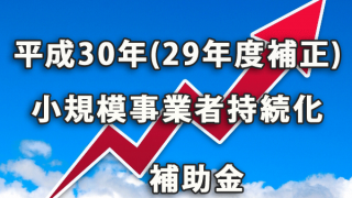 平成30年（29年度補正）小規模事業者持続化補助金