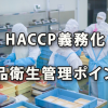 HACCP義務化と知っておきたい食品衛生管理のポイント